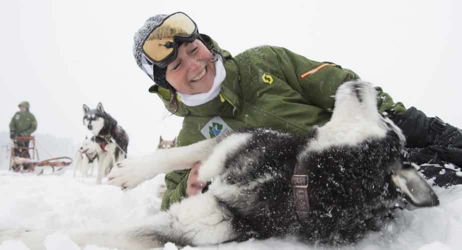 29 38 Lapland 12 29 38 Lapland 12